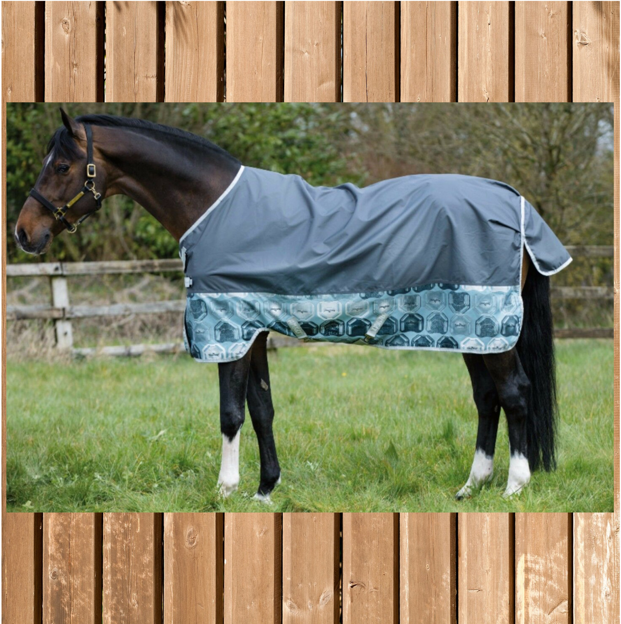 Horseware Amigo Hero lite 0g, Disc Front, castlerock